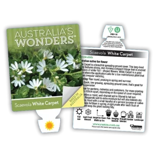 Scaevola ‘White Carpet’ Fan Flower
