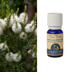 Tea Tree Organic