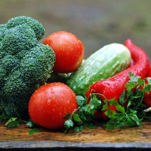 Timmers Food Creations – Tasture 604 Enzymatic Hydrolysed Vegetable Protein