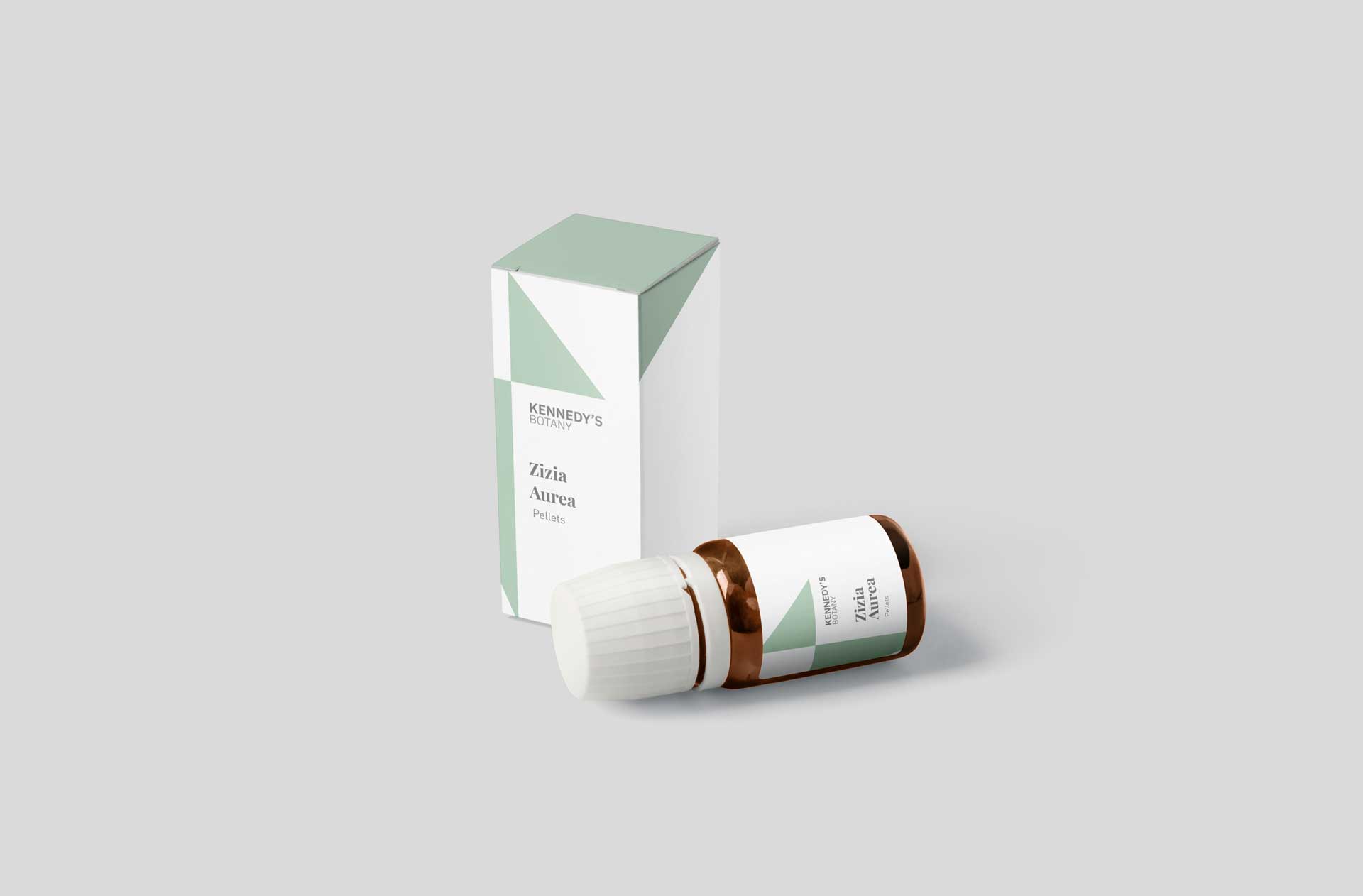 Zizia Aurea - Image 3