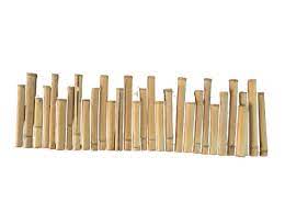 Ornamental Bamboo Border (Edger)