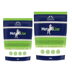 MetaboLize
